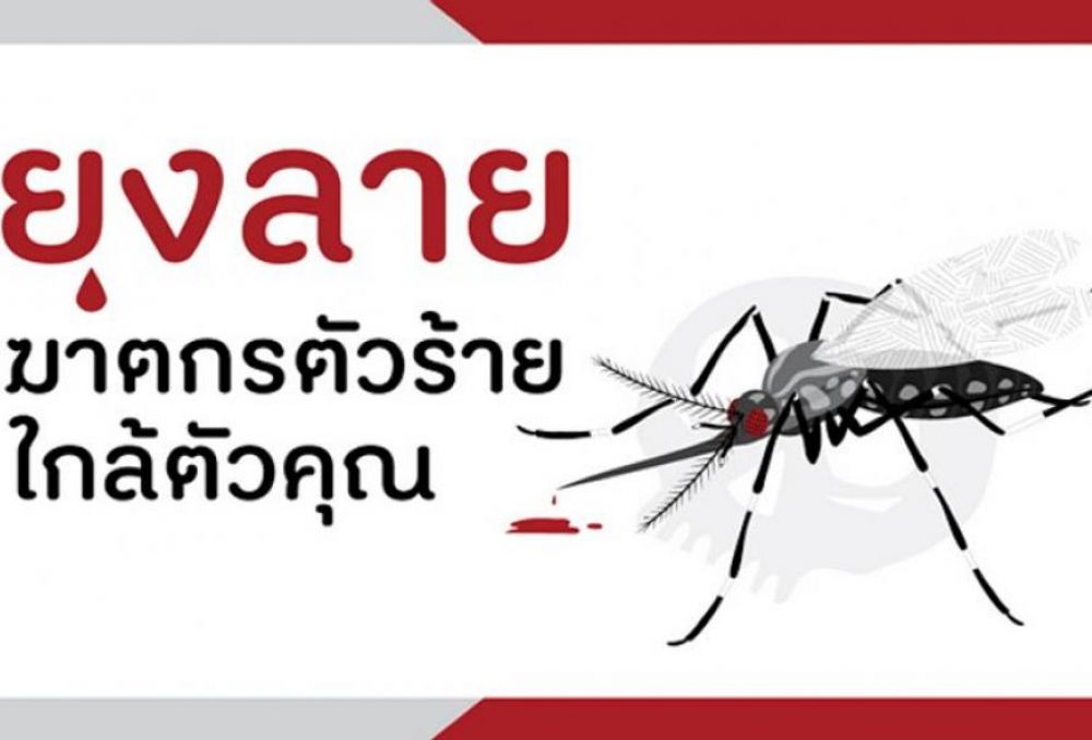 ยุงลายพาหะนำโรค