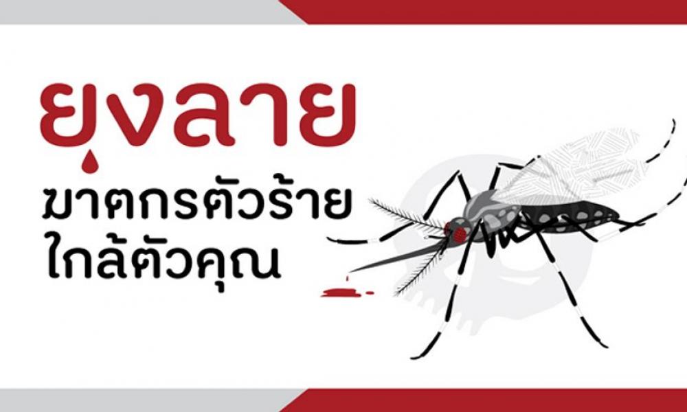 ยุงลายพาหะนำโรค